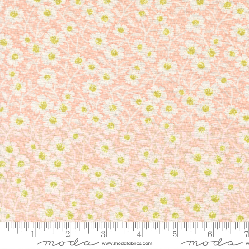 Picnic Bloom - Rose