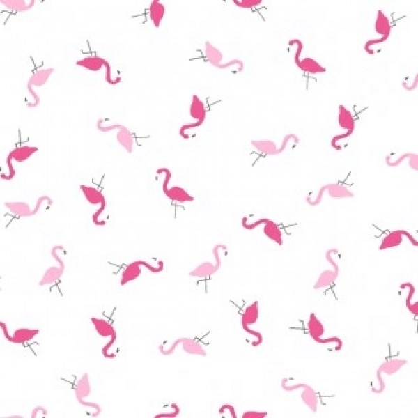 Pink Flamingoes in White