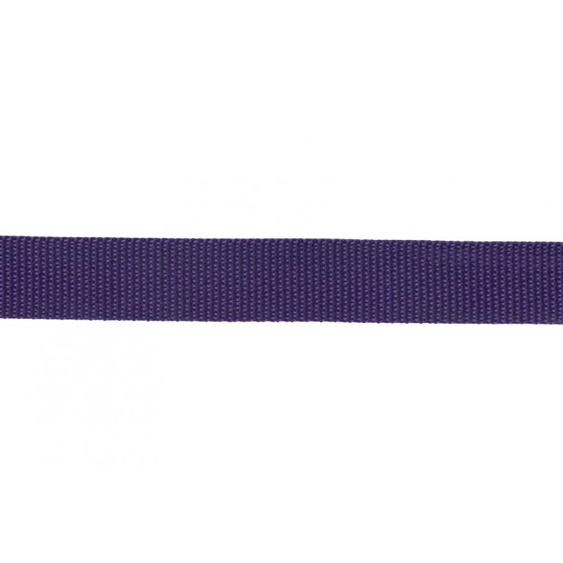 Polypro Webbing - 1" - Purple