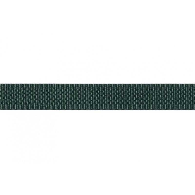 Polypro Webbing - 1" - Forest