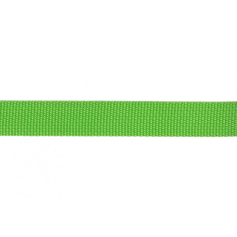 Polypro Webbing - 1" - Lime