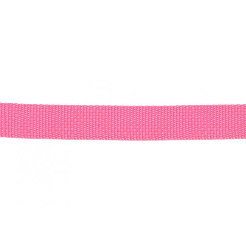 Polypro Webbing - 1" - Pink