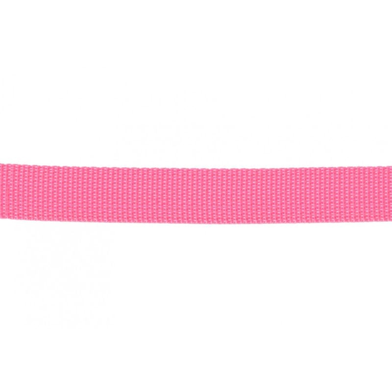 Polypro Webbing - 1" - Pink