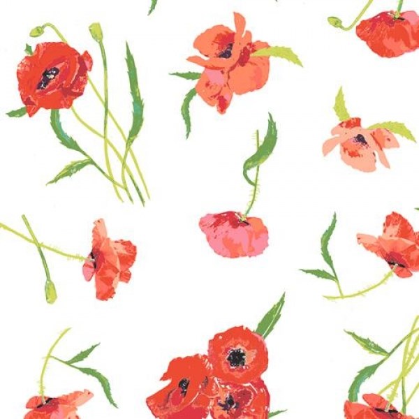 Poppy  - Reflections