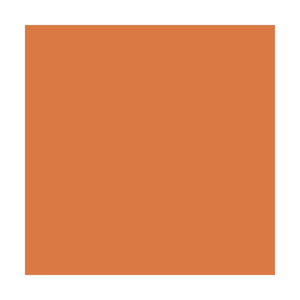 PURE Solid - Dried Carrot