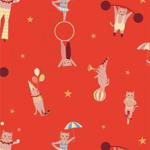 Purrfect Performers - Warm