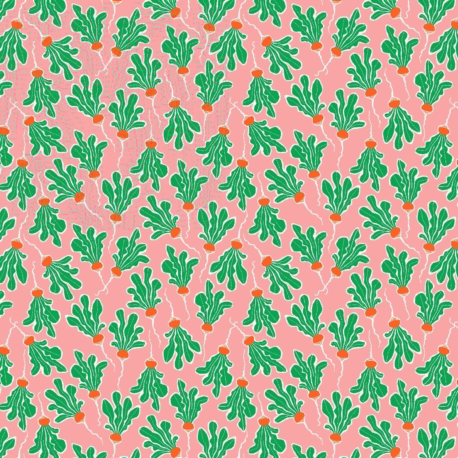 Radish - Watermelon