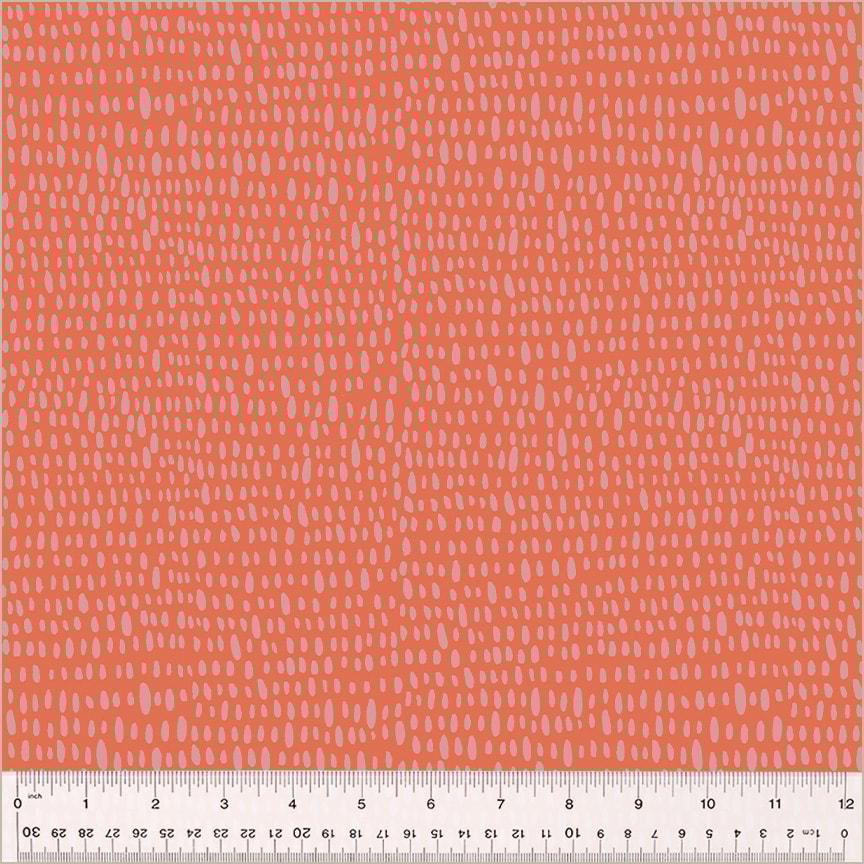 Rainfall - Coral