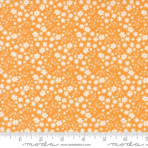 Blossom - Apricot