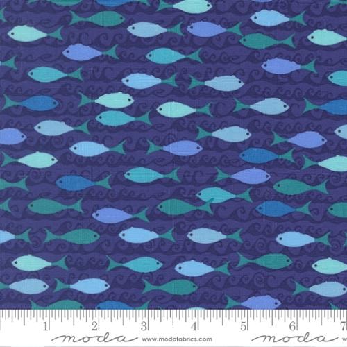 Reef School of Fish - Seafoam