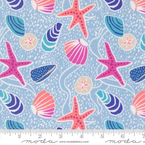 Reef Sea Shells - Marlin