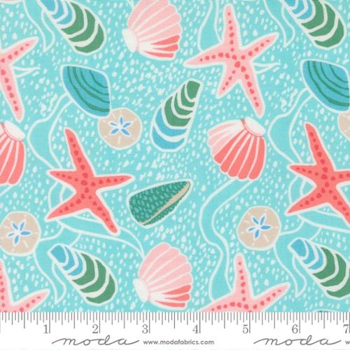 Reef Sea Shells - Surf