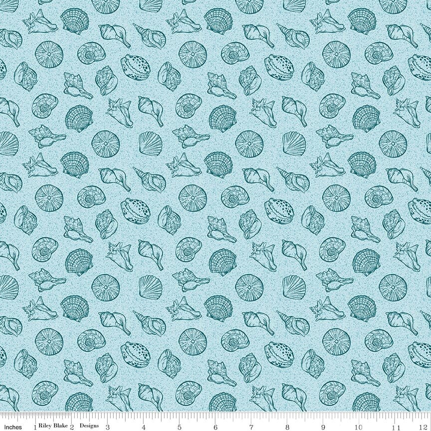 Reef Shells - Sky