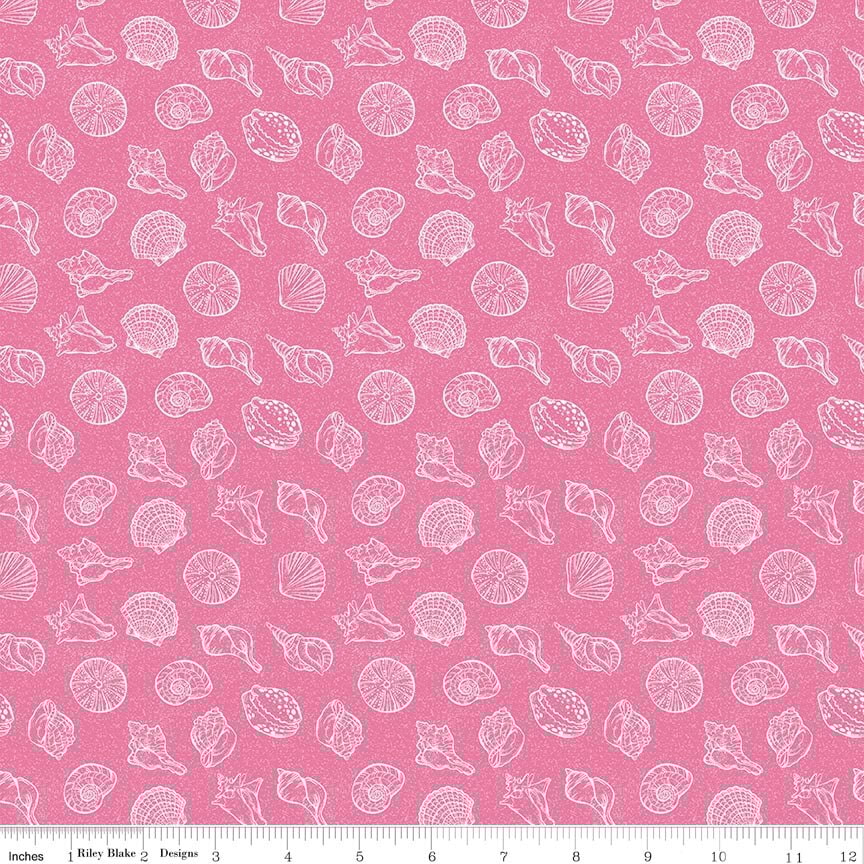 Reef Shells - Pink