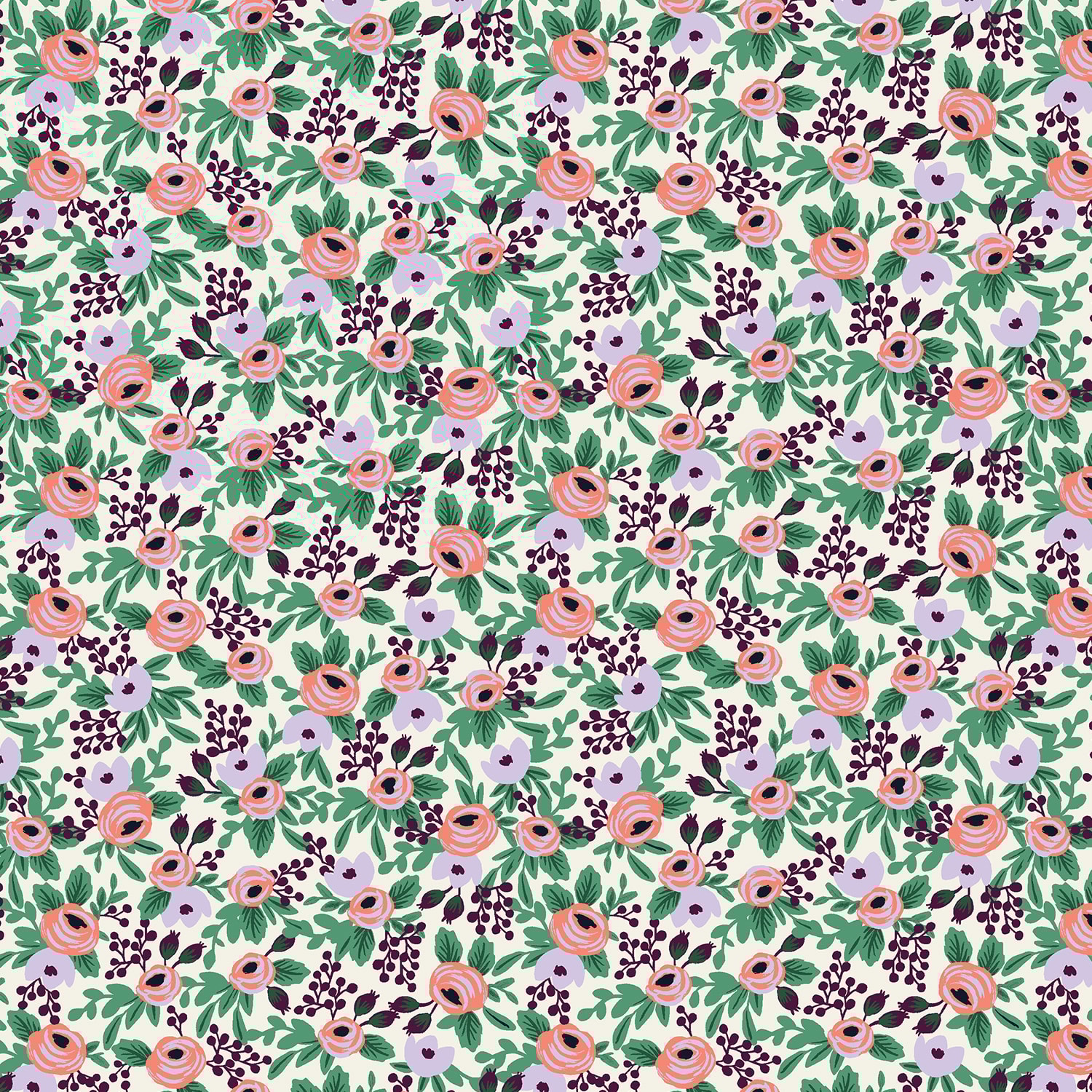 Rosa - Lavender