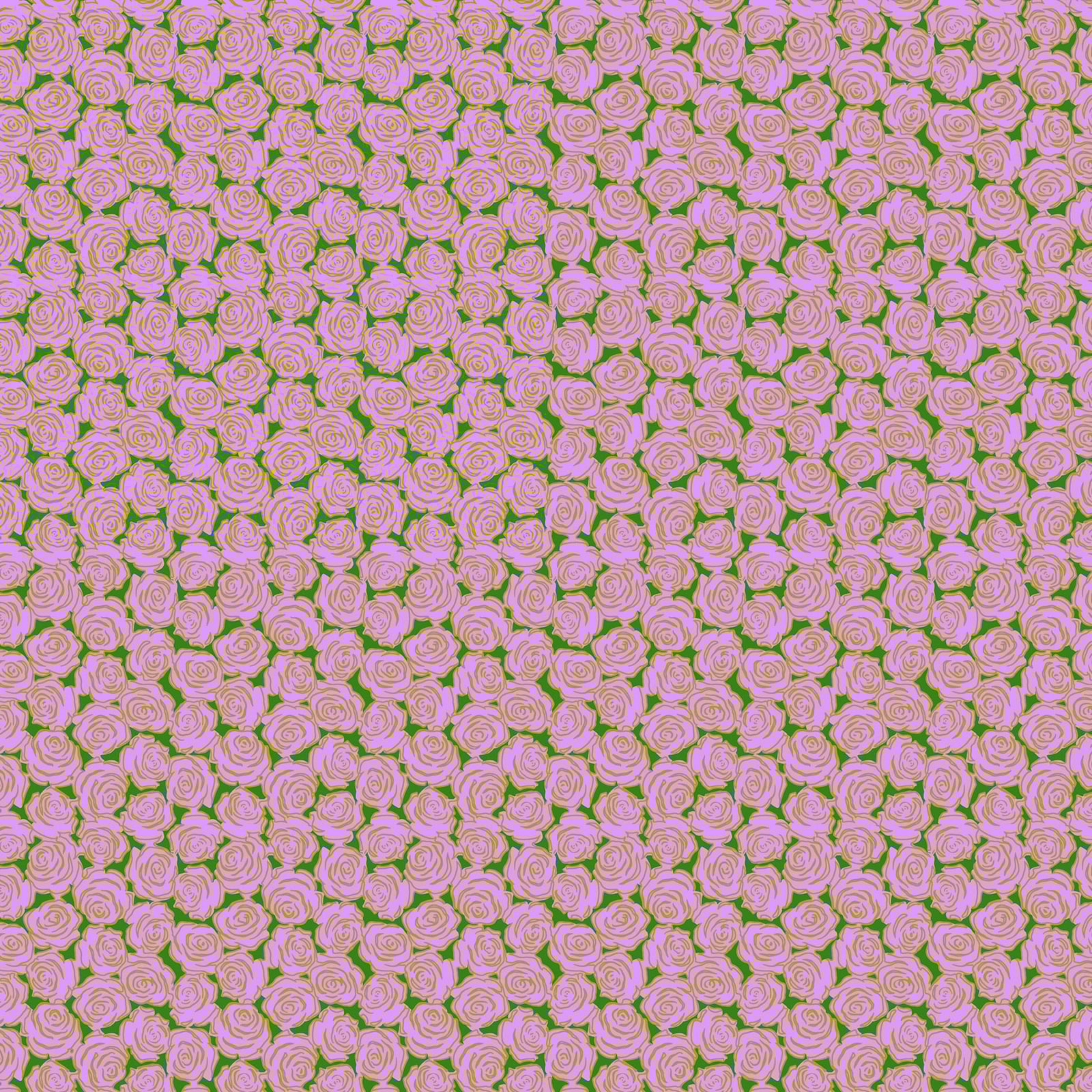Rosette - Lilac