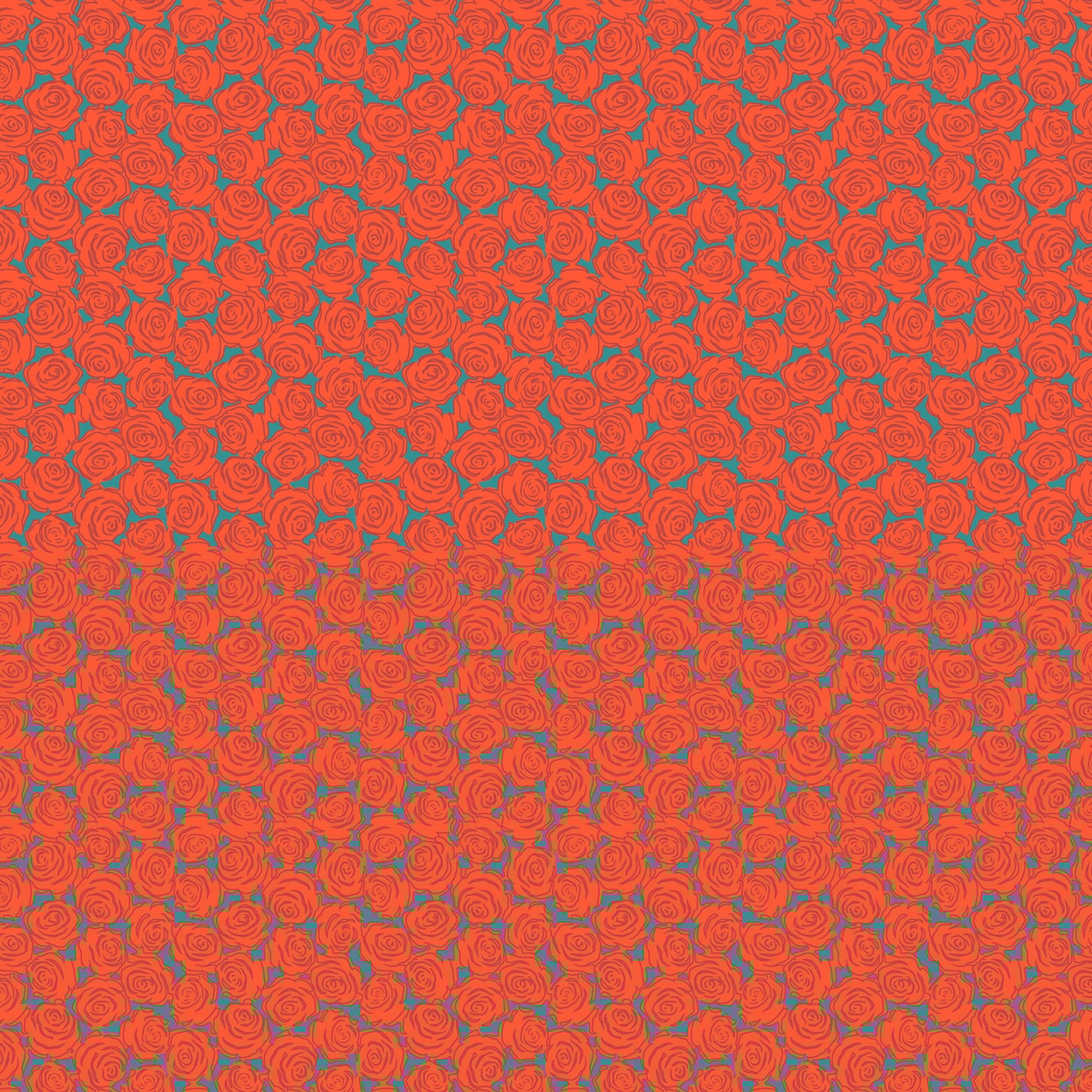 Rosette - Tomato