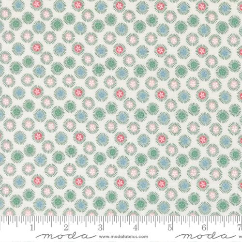 Sand Dollar - Pearl
