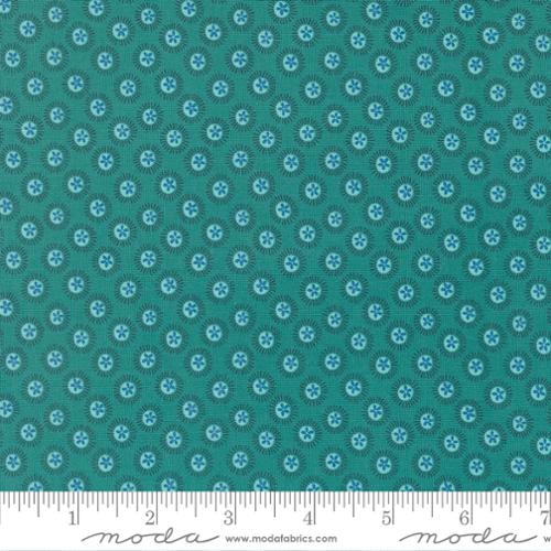 Sand Dollar - Horizon