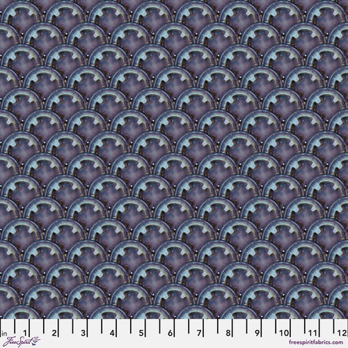 Scallop - Purple Haze
