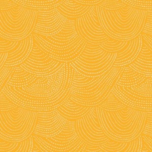 Scallop Dot