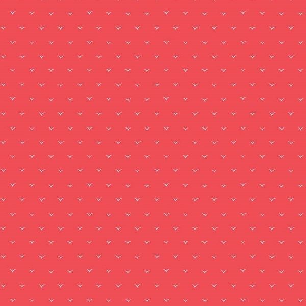 Seagulls in Red