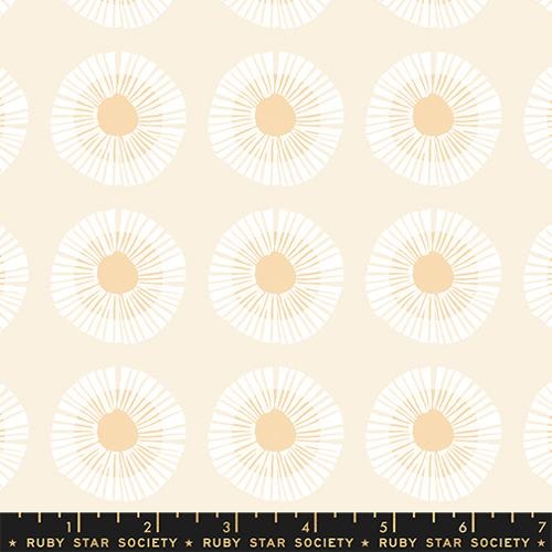 Seaside Daisy - Natural