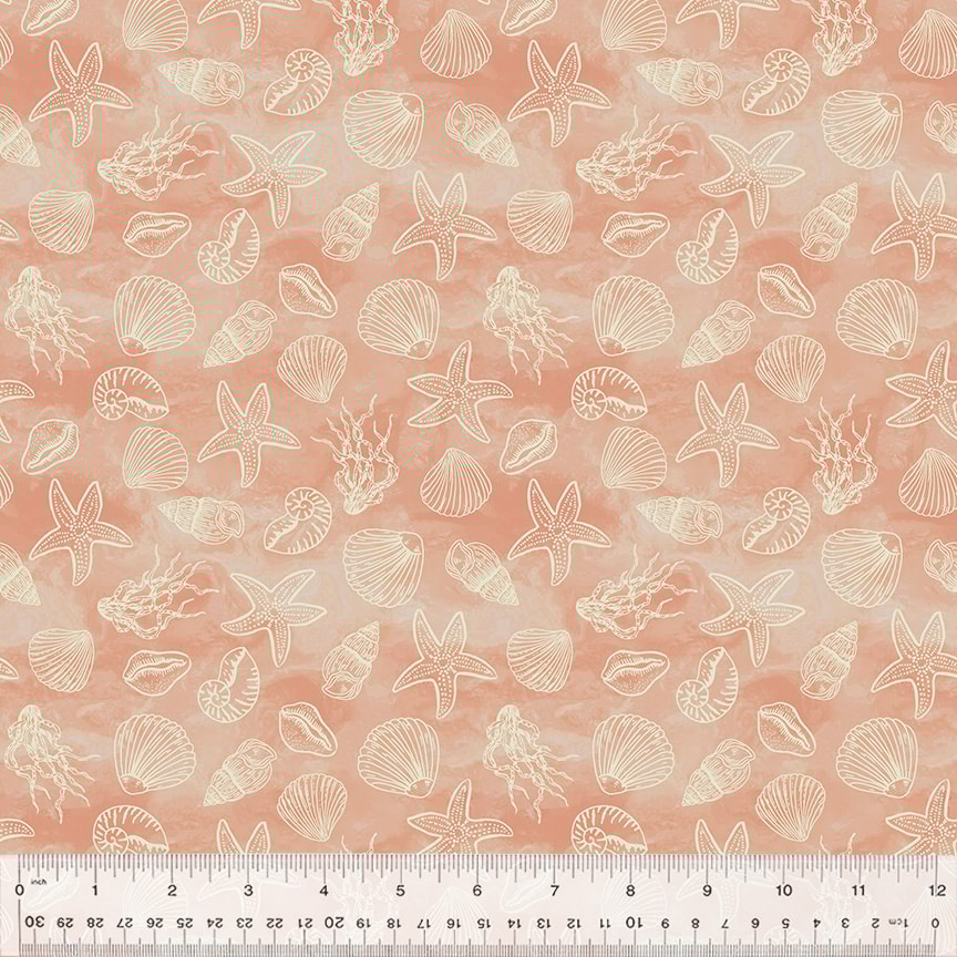 Shell Collection - Coral