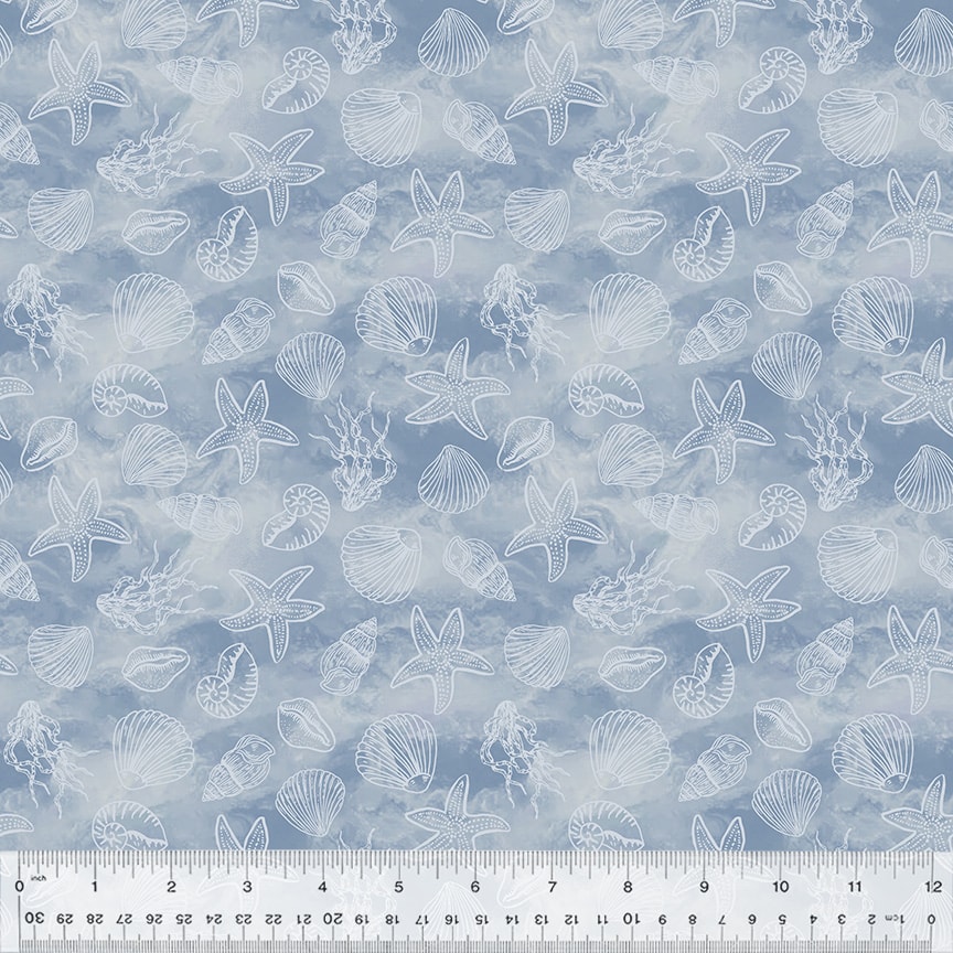 Shell Collection - Wave