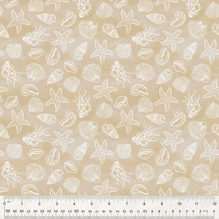 Shell Collection - Sand