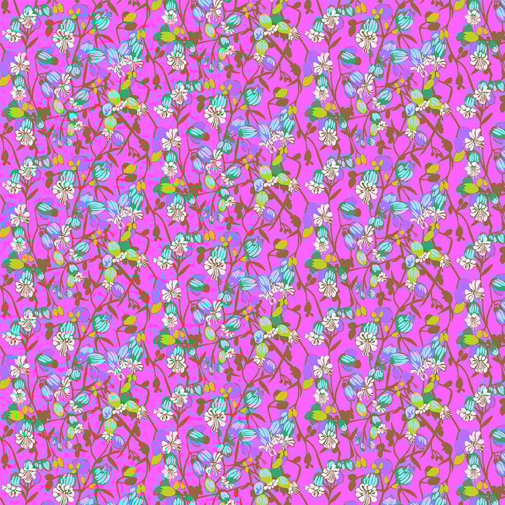 Silene - Fuchsia