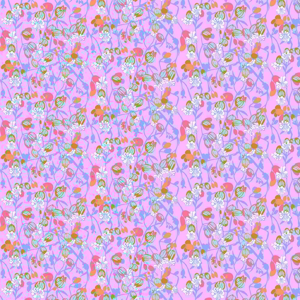 Silene - Periwinkle
