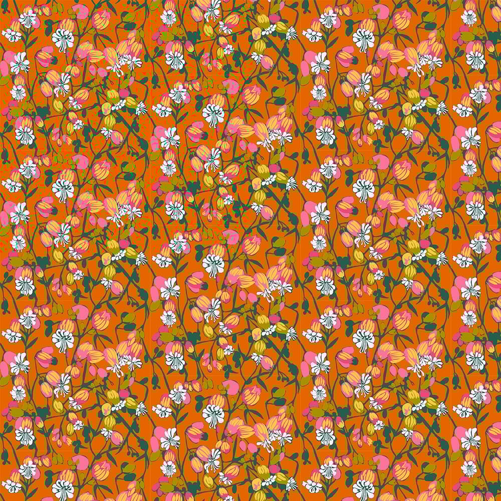 Silene - Tangerine