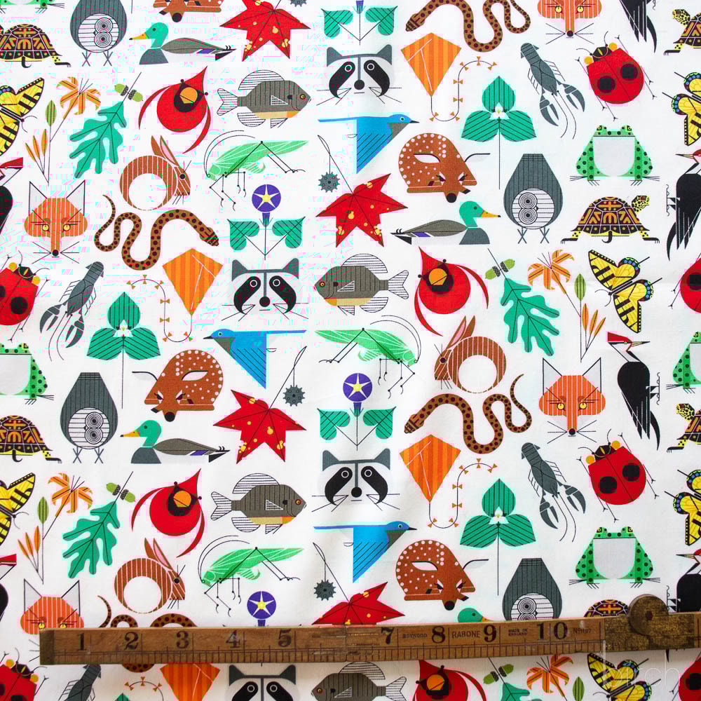 Space for All Species