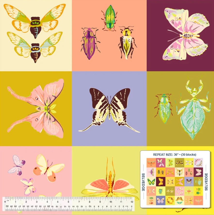 Square Dance Panel | Insectarium | 35" Panel - Multi