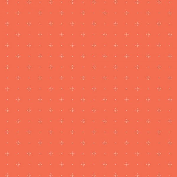 Starry Orange You