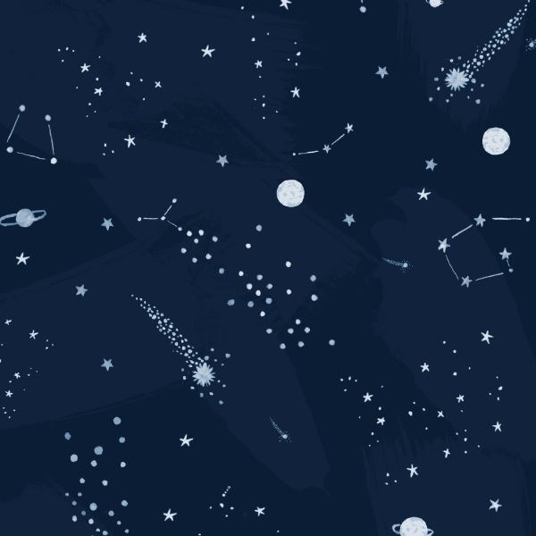 Starship Night Sky