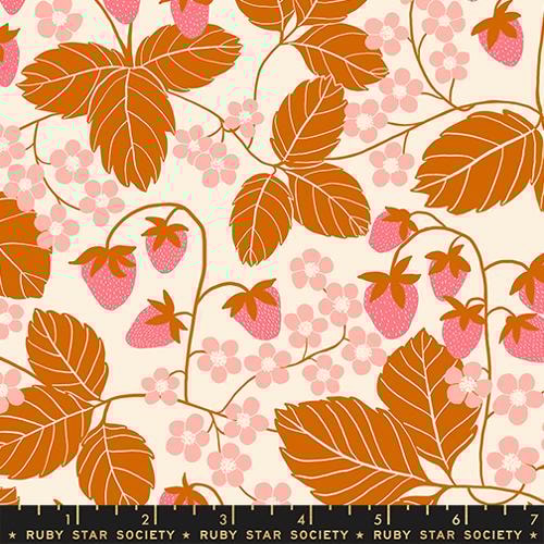 Strawberry Field - Bashful
