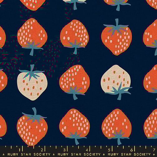 Strawberry - Navy CANVAS