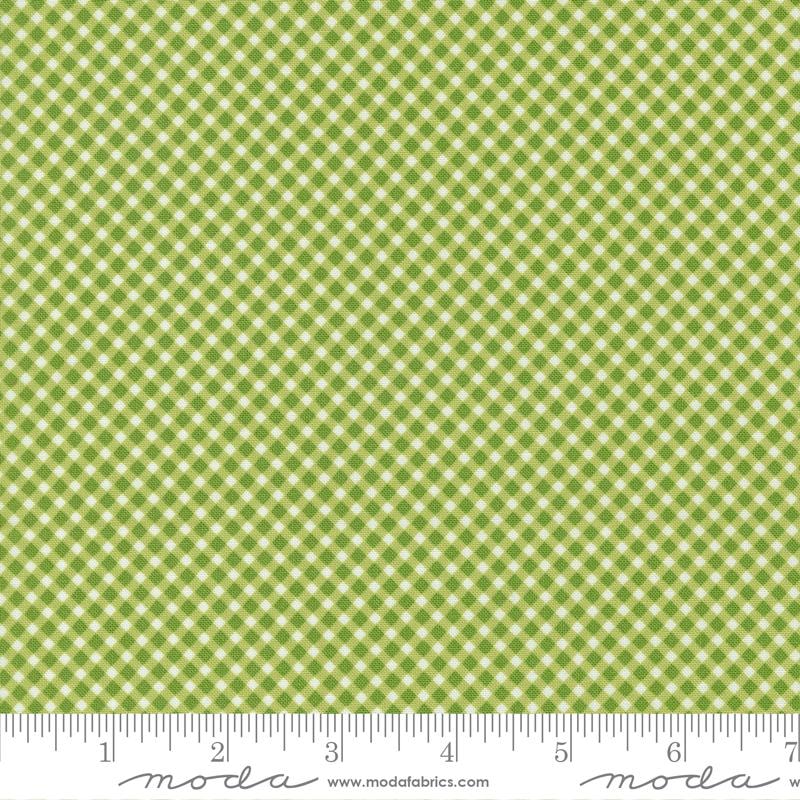 Strawberry Lemonade Gingham - Lime