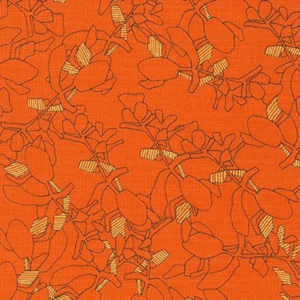 Collection CF Succulent - Orangeade