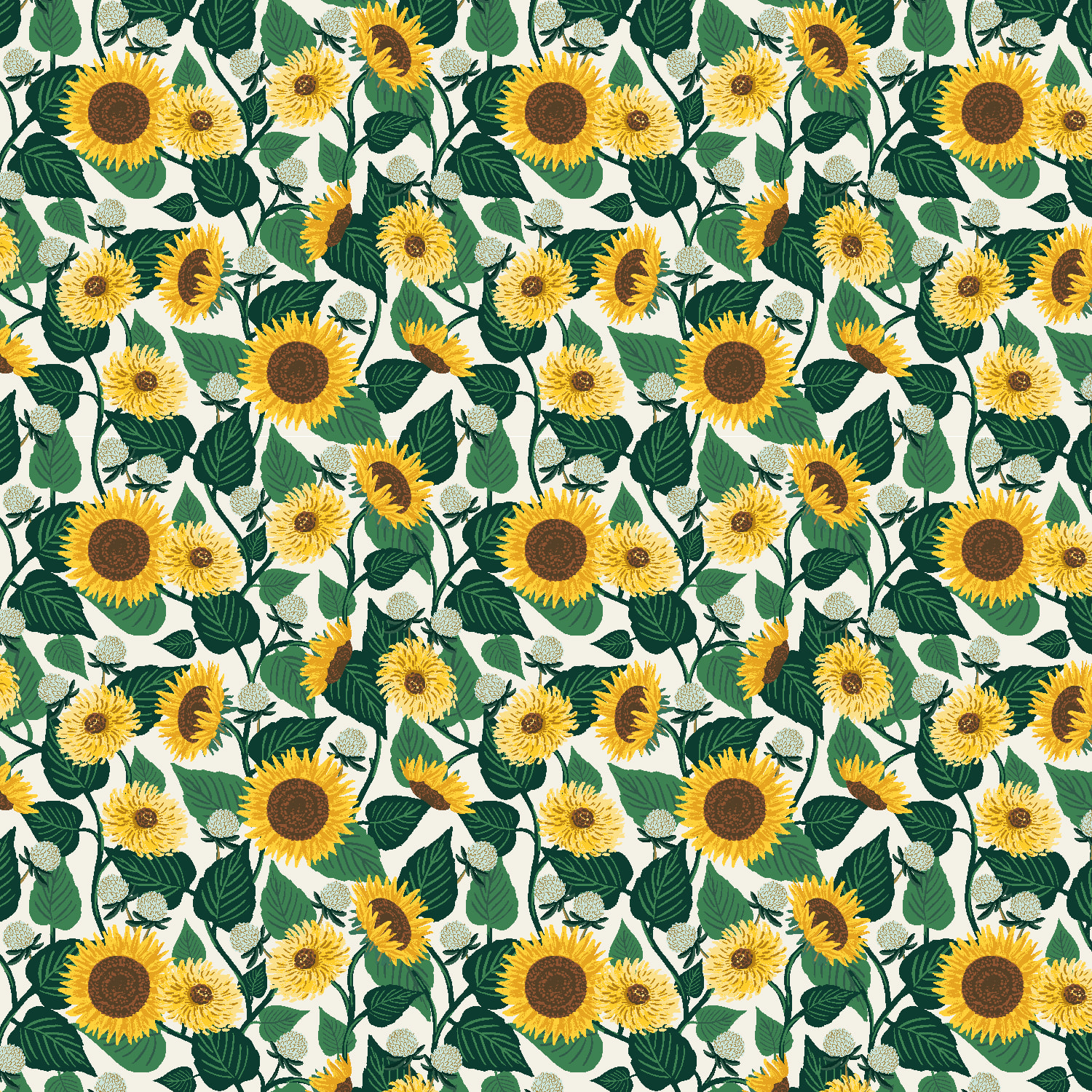 Sunflower Fields - Cream