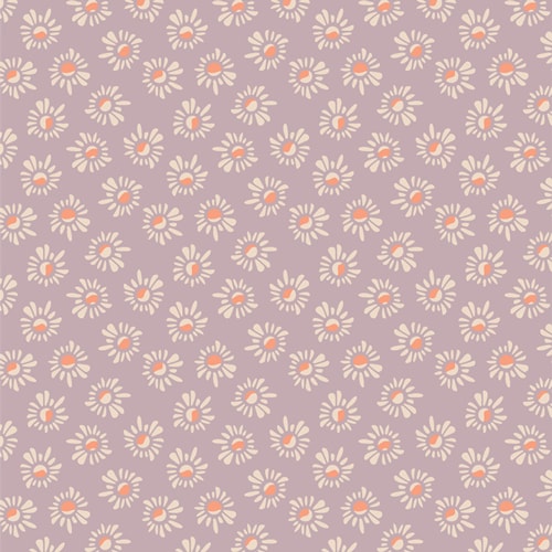 Susans - Lilac