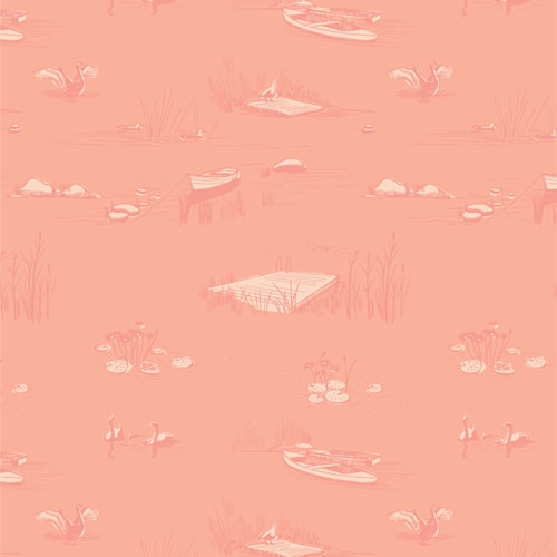 Swan Haven - Daybreak