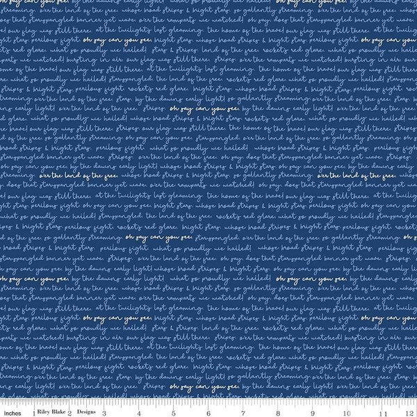 Text - Navy