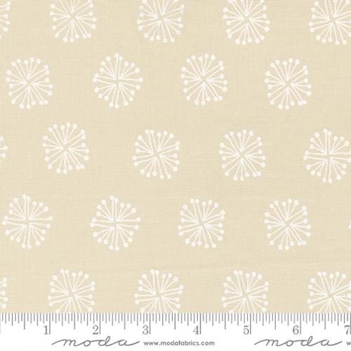 The Big Bang - Eggshell