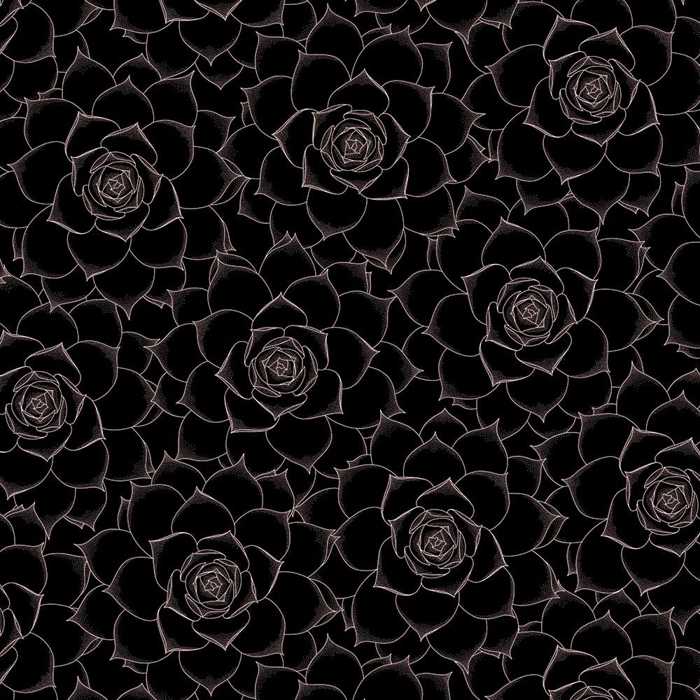 Roses - Black