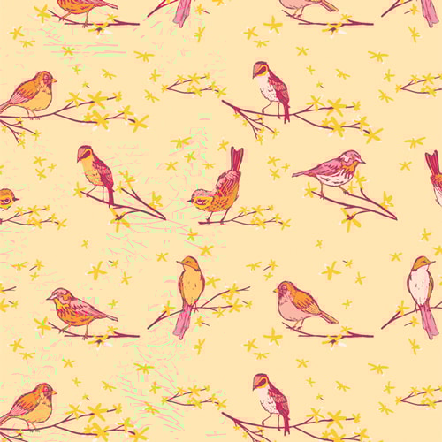 The Dawn Chorus - Sunset