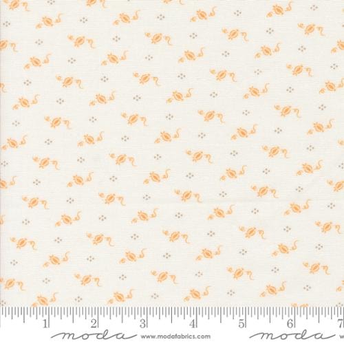Tiny Pumpkins - Ghost Multi