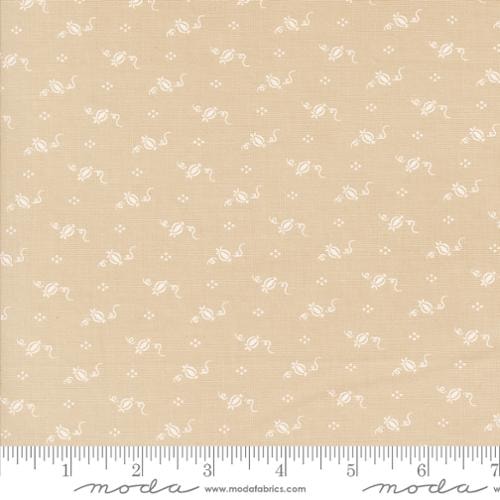 Tiny Pumpkins - Smoke